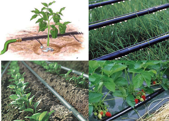 PE Round Drip Irrigation Pipe Making Machine   /   Machine For Agricultural Irrigation